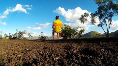 音乐短片 - Porket - Endemic Quad