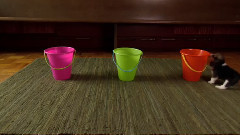 音乐短片 - 狗狗 9