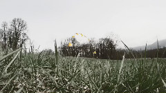 音乐短片 - FPV Racing -Porco Playground