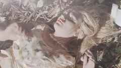 欧美群星 - Hey Sunshine