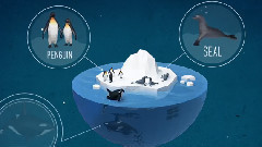 音乐短片 - Save Antarctica