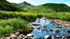 音乐短片 - 春天的童话