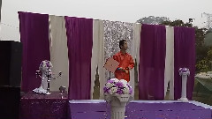 张家源 - 婚庆商演