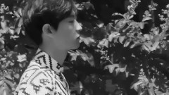 朴灿烈(EXO),吴世勋(EXO),EXO - 小幸运 灿勋