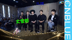CNBLUE,郑容和(CNBLUE),李宗泫(CNBLUE),姜敏赫(CNBLUE),李正信(CNBLUE) - CNBLUE六周年