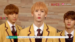 HALO - Pops in Seoul Interview Part 1
