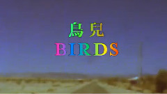Coldplay - Birds