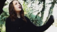 欧美群星 - Butterflies