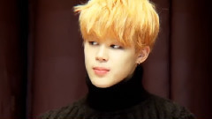 JIMIN(防弹少年团),防弹少年团 - 金浦机场签名会