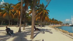 音乐短片 - 美国迈阿密城市风光