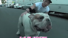 Bobby(iKON) - iKON日本专辑WELCOME BACK MV Making合辑
