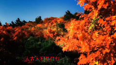 正月十五 - 喜气洋洋迎新春