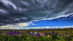 音乐短片 - 新西兰风光 时光流逝