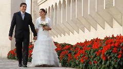 原创 - Video De Boda -Paola & Harold