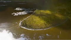 音乐短片 - Forest Trap