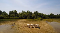 音乐短片 - 意大利弗留利-威尼斯朱利亚大区旖旎风光 航拍