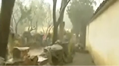 音乐短片 - 金蛇狂舞