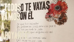 Aleks Syntek - No Te Vayas Con Él Viene Incluida En El