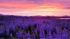 音乐短片 - Castles