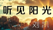  - 刘凯【听见阳光】20160117期