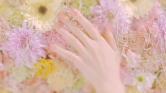 MACO - 恋心(Short ver.)
