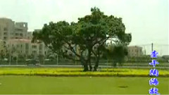 音乐短片 - 查干陶海故乡