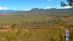 音乐短片 - 大青马