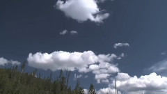 音乐短片 - 知音天籁