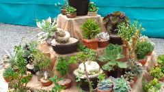 音乐短片 - Cactus show -Prague 2013