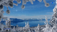 音乐短片 - 萨克斯 青鸟