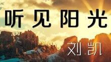  - 刘凯【听见阳光】20160125期