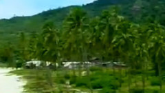 音乐短片 - 杜宇魂 古筝版