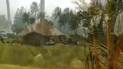 音乐短片 - 分飞燕 古筝版