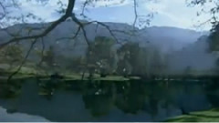 音乐短片 - 小霓裳 古筝版