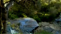 音乐短片 - 渔舟唱晚 古筝版