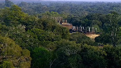 音乐短片 - Monkey home