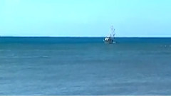 音乐短片 - 一点金 古筝版