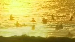 音乐短片 - 昭君怨 古筝版