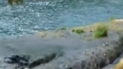 音乐短片 - 雨夜花 古筝版