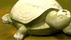 音乐短片 - 将军令 古筝版