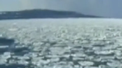 音乐短片 - 梁祝 人声合唱