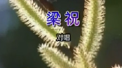 音乐短片 - 梁祝 对唱