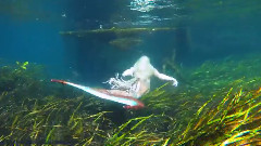 音乐短片 - Life As A Mermaid Underwater Extended Footage