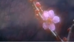 音乐短片 - 梁祝 舞曲版