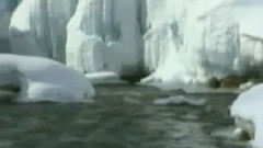 音乐短片 - 梁祝 琵琶演奏