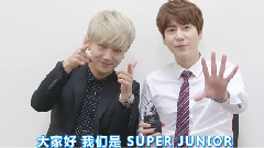 Super Junior - Super Junior 十周年歌友会 ID