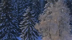 音乐短片 - 莎拉.布莱曼 Winter Light