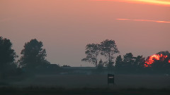 音乐短片 - raw footage for one day on earth