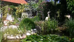 音乐短片 - Mediterranen Akzenten Deutschland