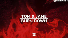 欧美群星 - Burn Down